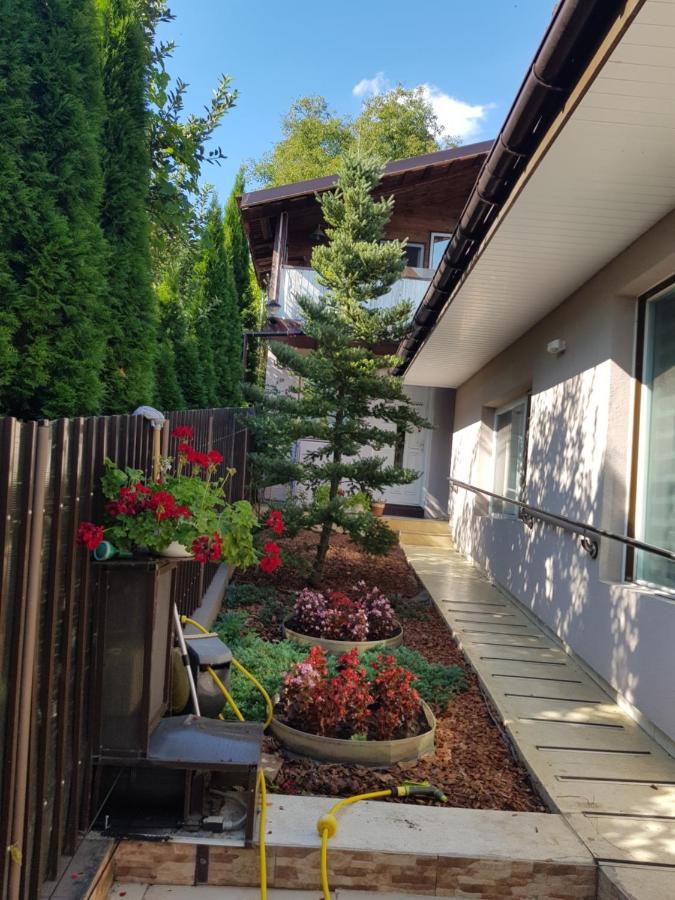Casa Negoiu Apartamento Târgu-Mureş Exterior foto